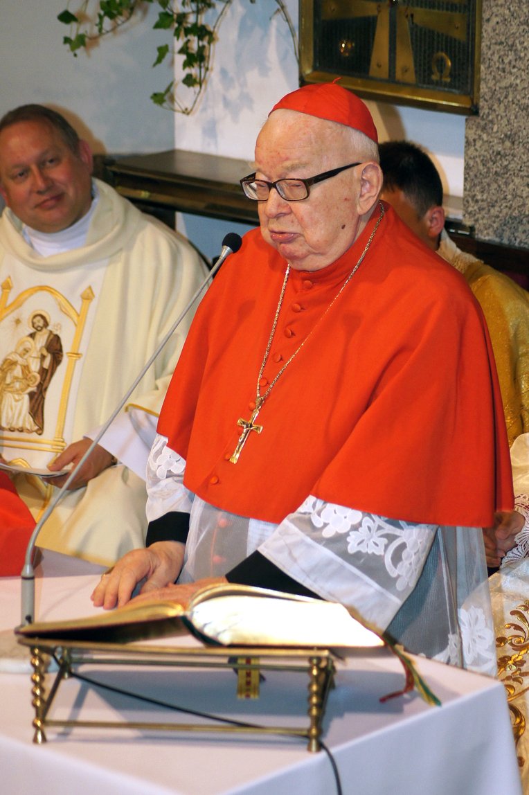 21 V 2016 - uroczysta Msza św. dziękczynna z okazji 25 rocznicy święceń kapłańskich Proboszcza ks. Jana Adamarczuka