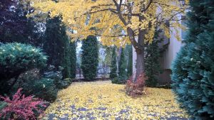 październik 2015 r.